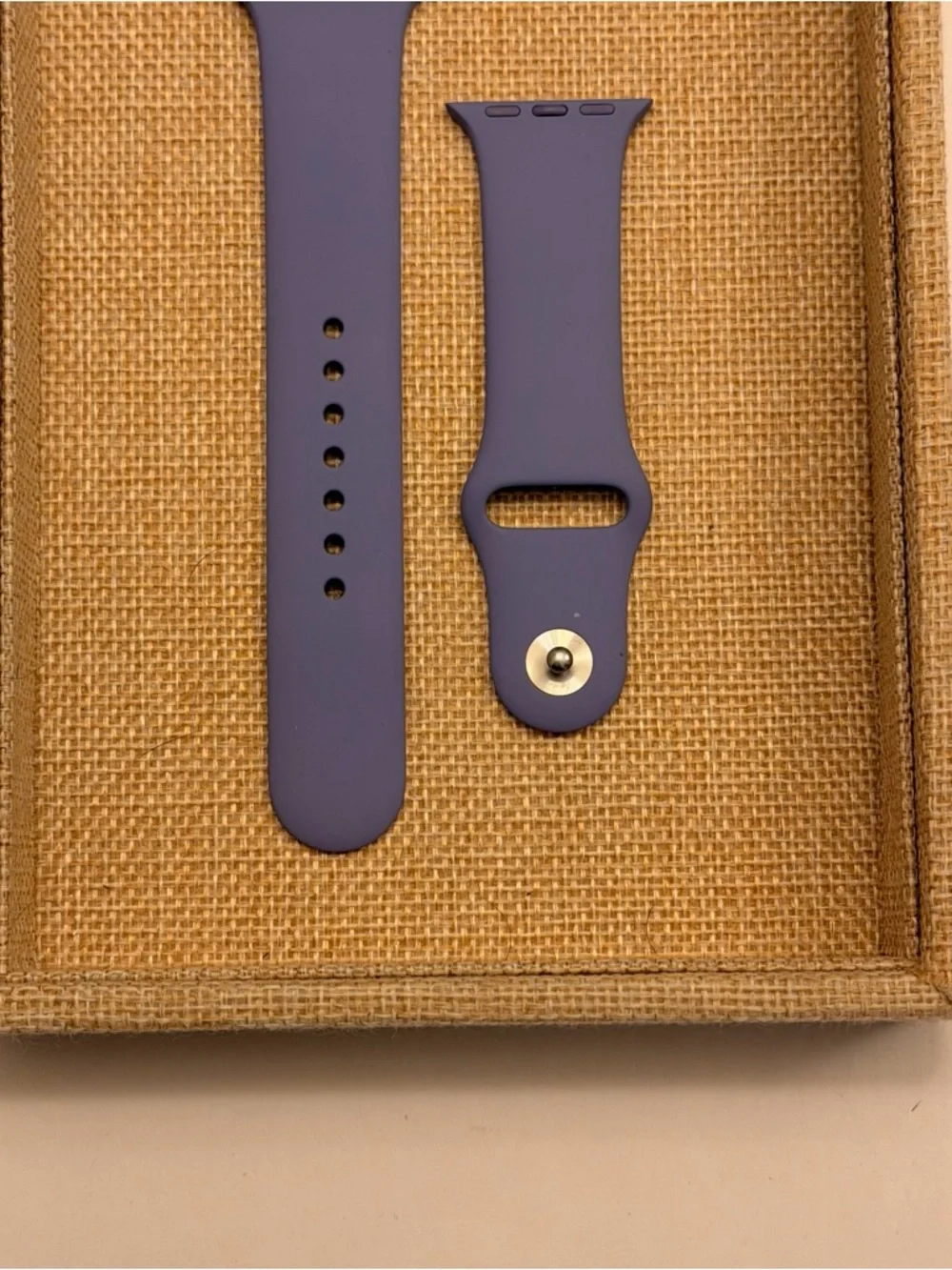 Apple OEM Apple Watch Band,‎ 38/40/41mm